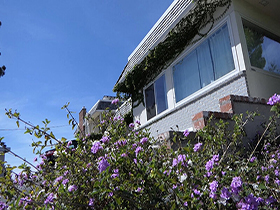 貪り合う黒百合の花園　黒人美少女レズビアンたちの香しき濡れ小陰唇 サンプル動画サムネイル