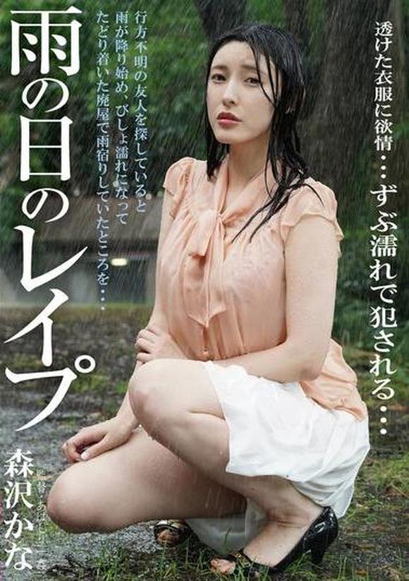 森沢かな avパケ