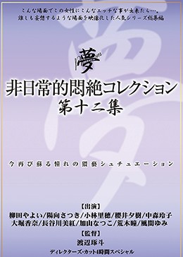 非日常的悶絶コレクション第十二集