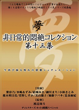 非日常的悶絶コレクション第十三集