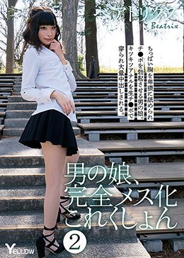 男の娘、完全メス化これくしょん 2