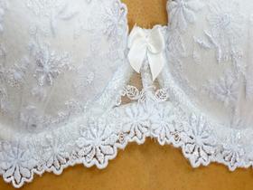 ブラジャーになりたいなあ　サンプル画像05