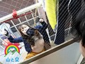 ヤリ部屋調教でドM覚醒！快楽拷問に負けて絶頂潮吹きする完全OUTな人妻がこちらです。葵百合香　サンプル画像04