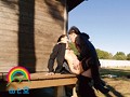 オマ●コ露出ビデオ ひびき（仮名） 大槻ひびき　サンプル画像09